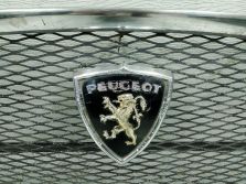 PEUGEOT 403 1955–1966 GRILL ATRAPA CHROM